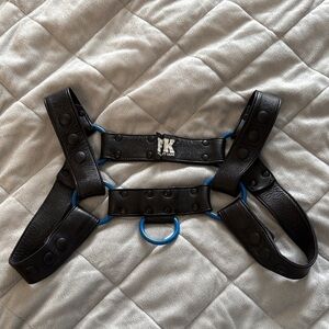 FullKit Black by Leather Harness with Blue Accents